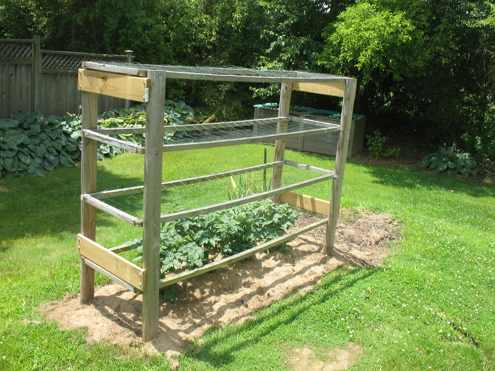 tomato cage