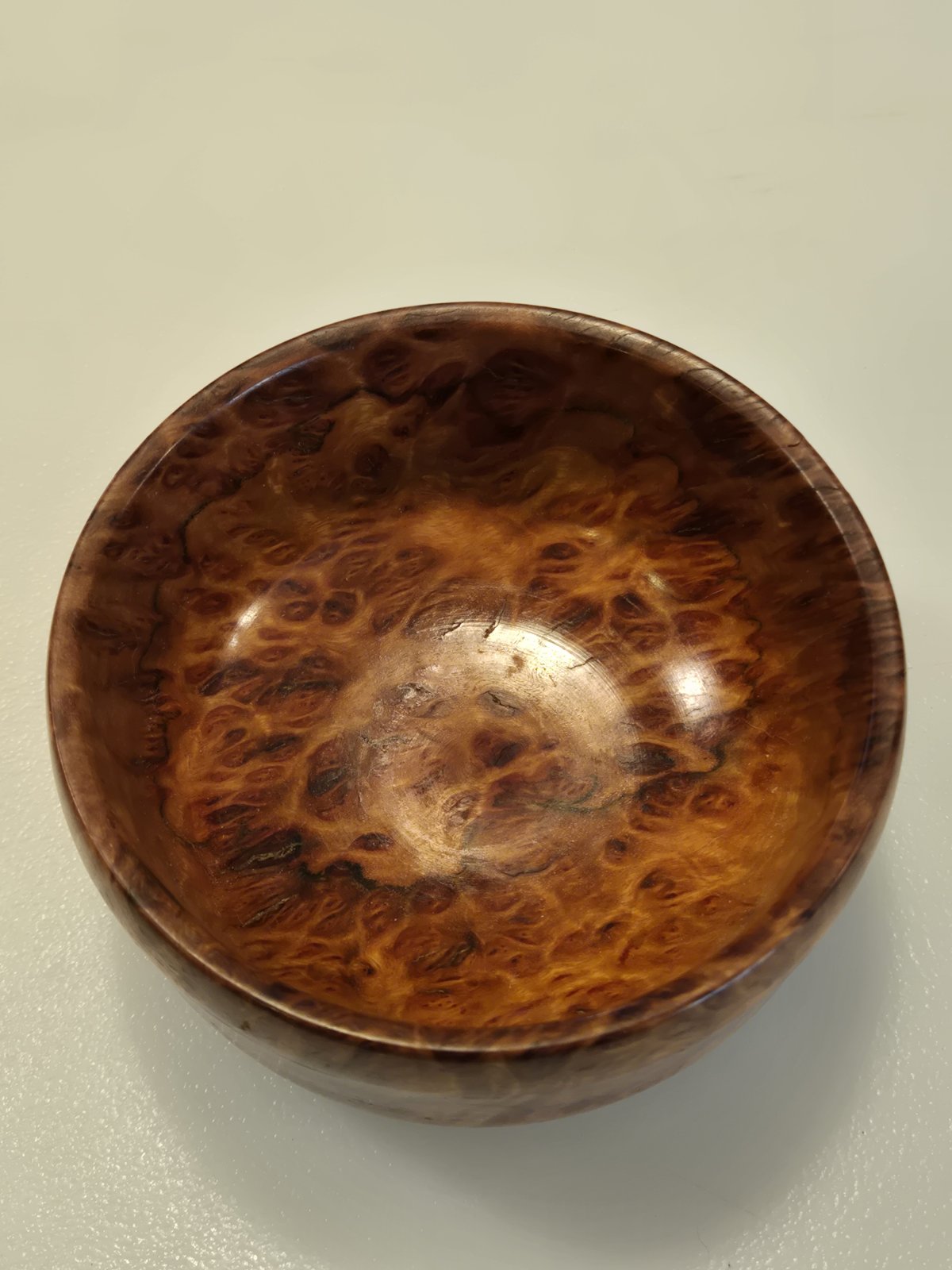 Unknown burl 2.jpg