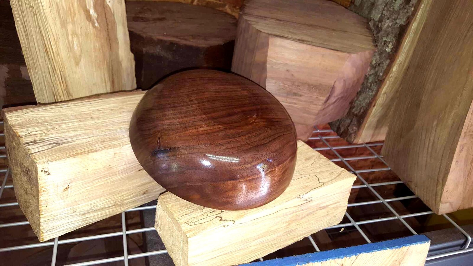 Walnut 18c.jpg