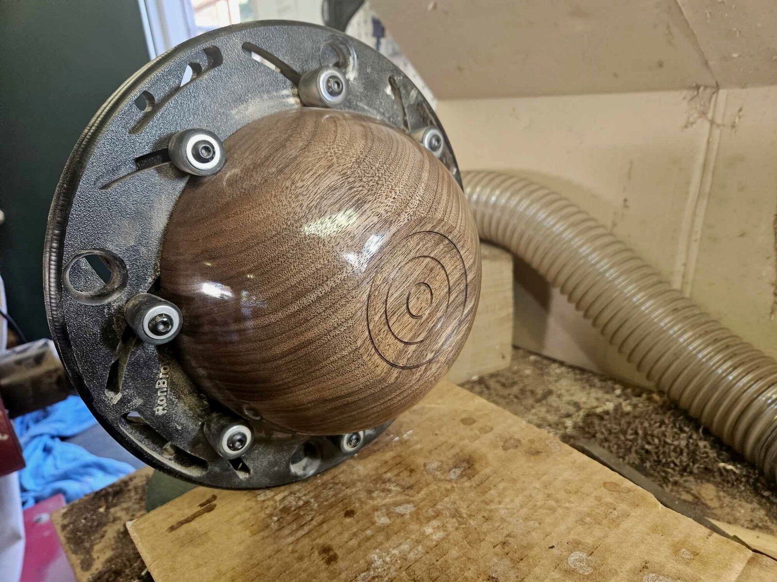 Walnut 2b.jpg