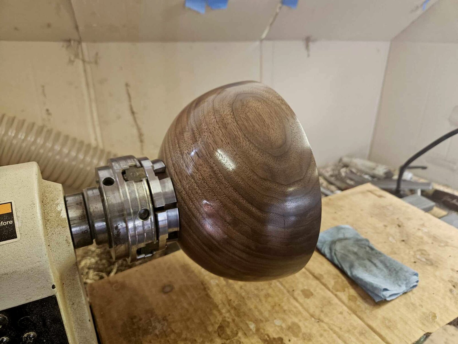 Walnut 2c.jpg