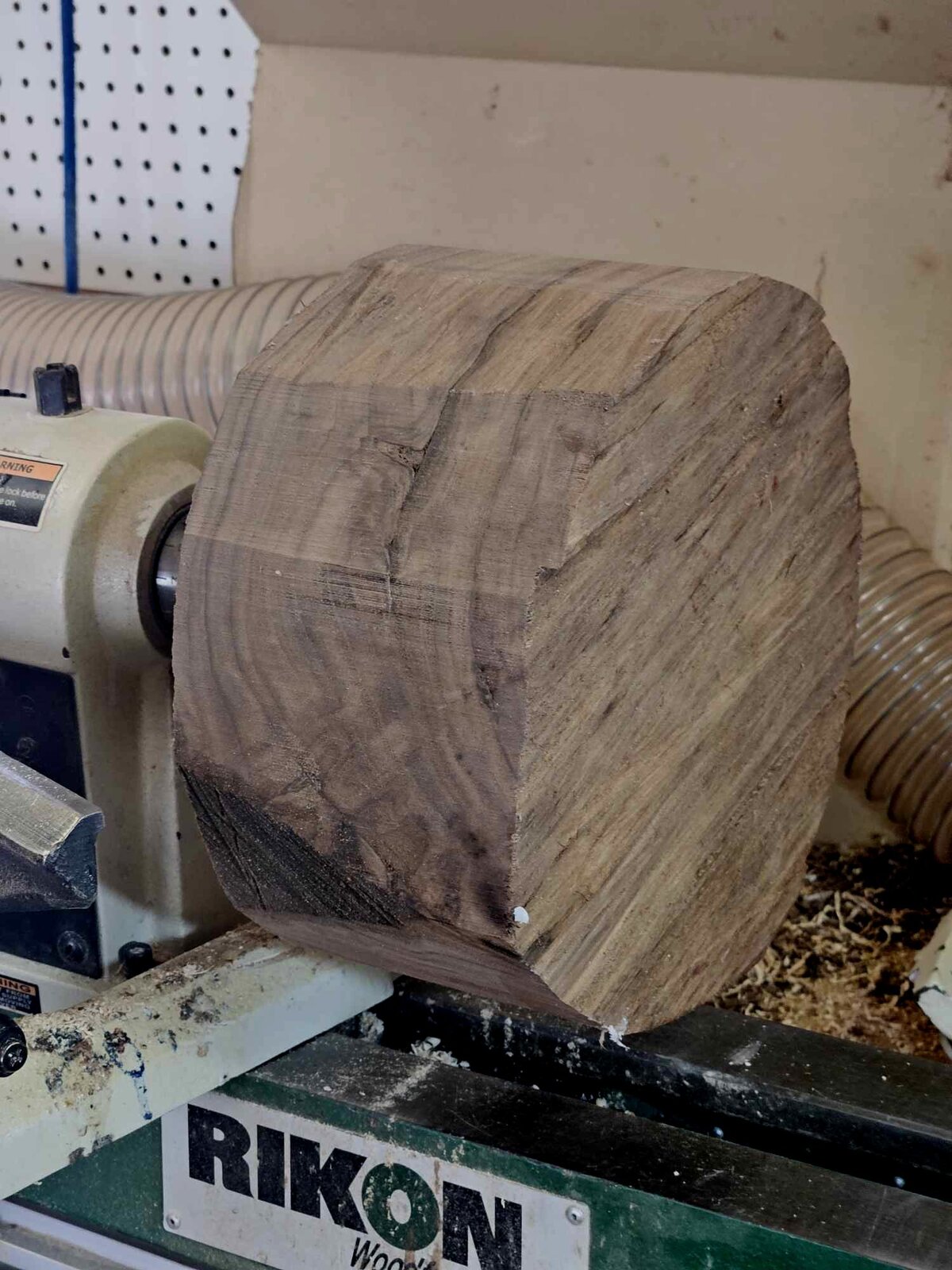 Walnut 3a.jpg