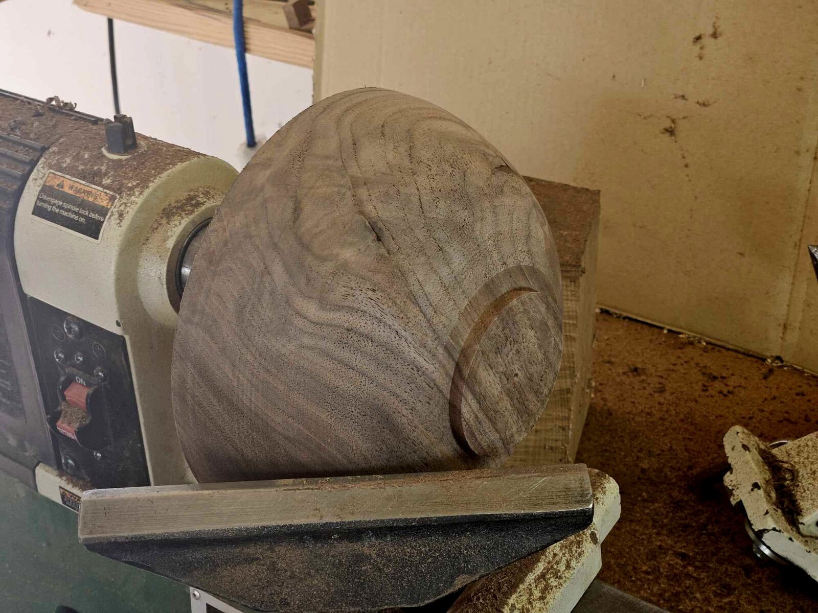 Walnut 3b.jpg