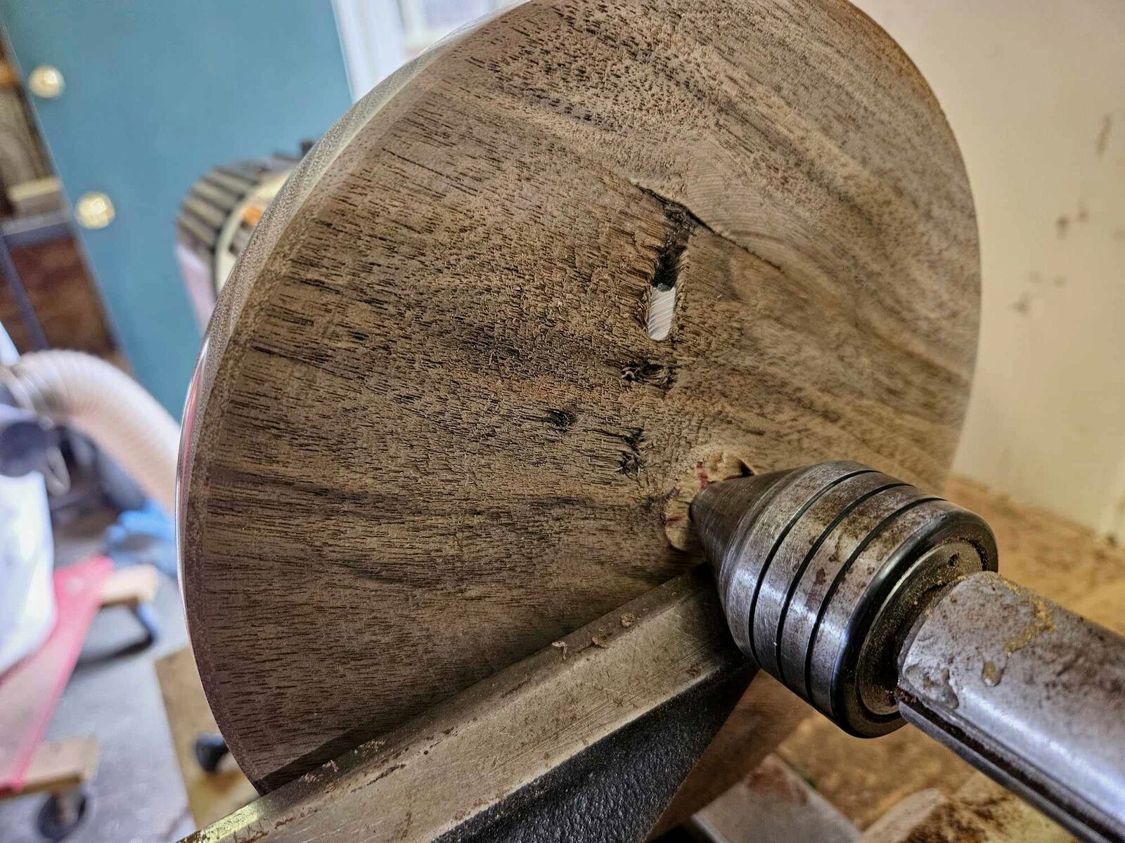 Walnut 3c.jpg