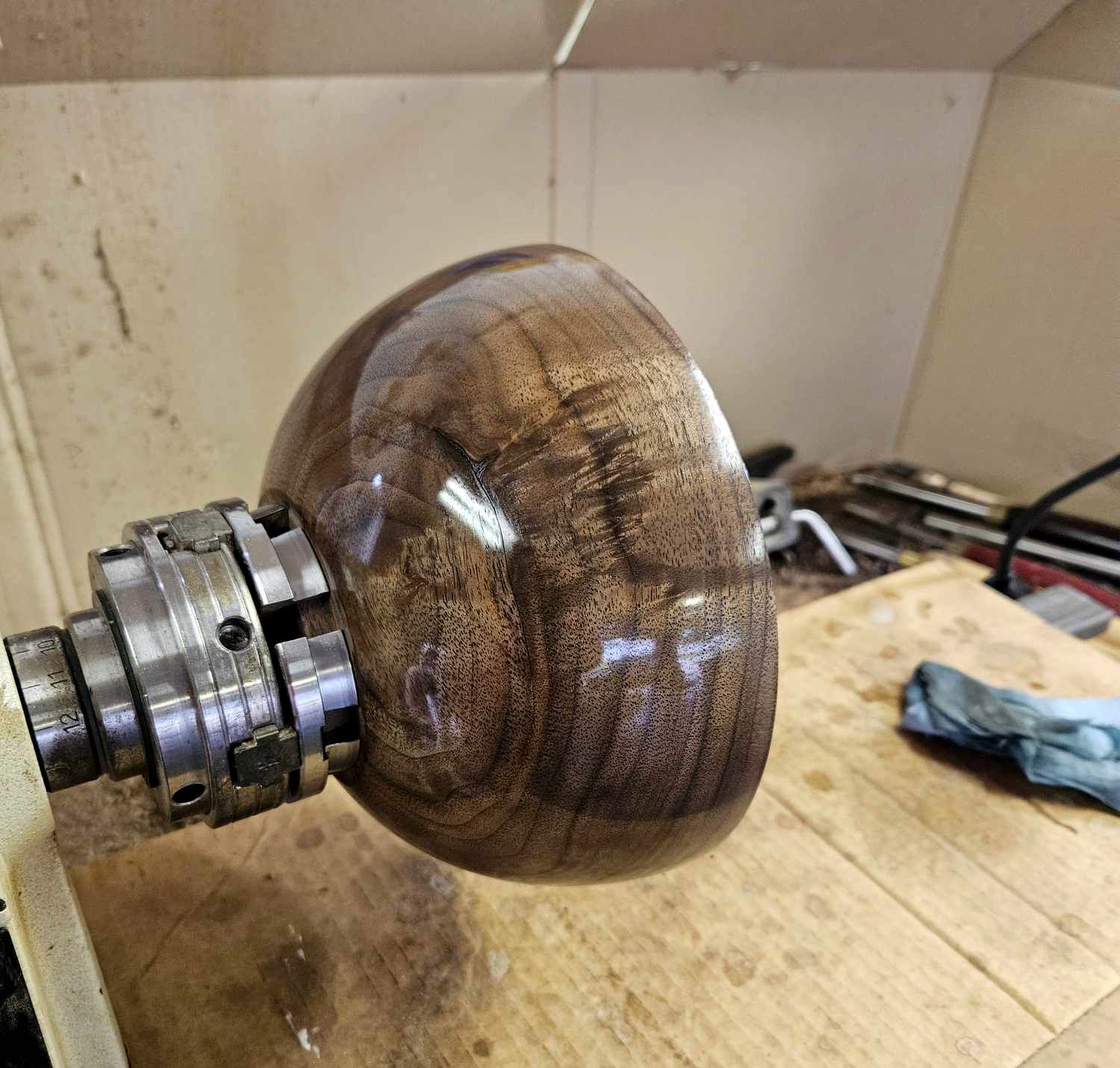 Walnut 3e.jpg