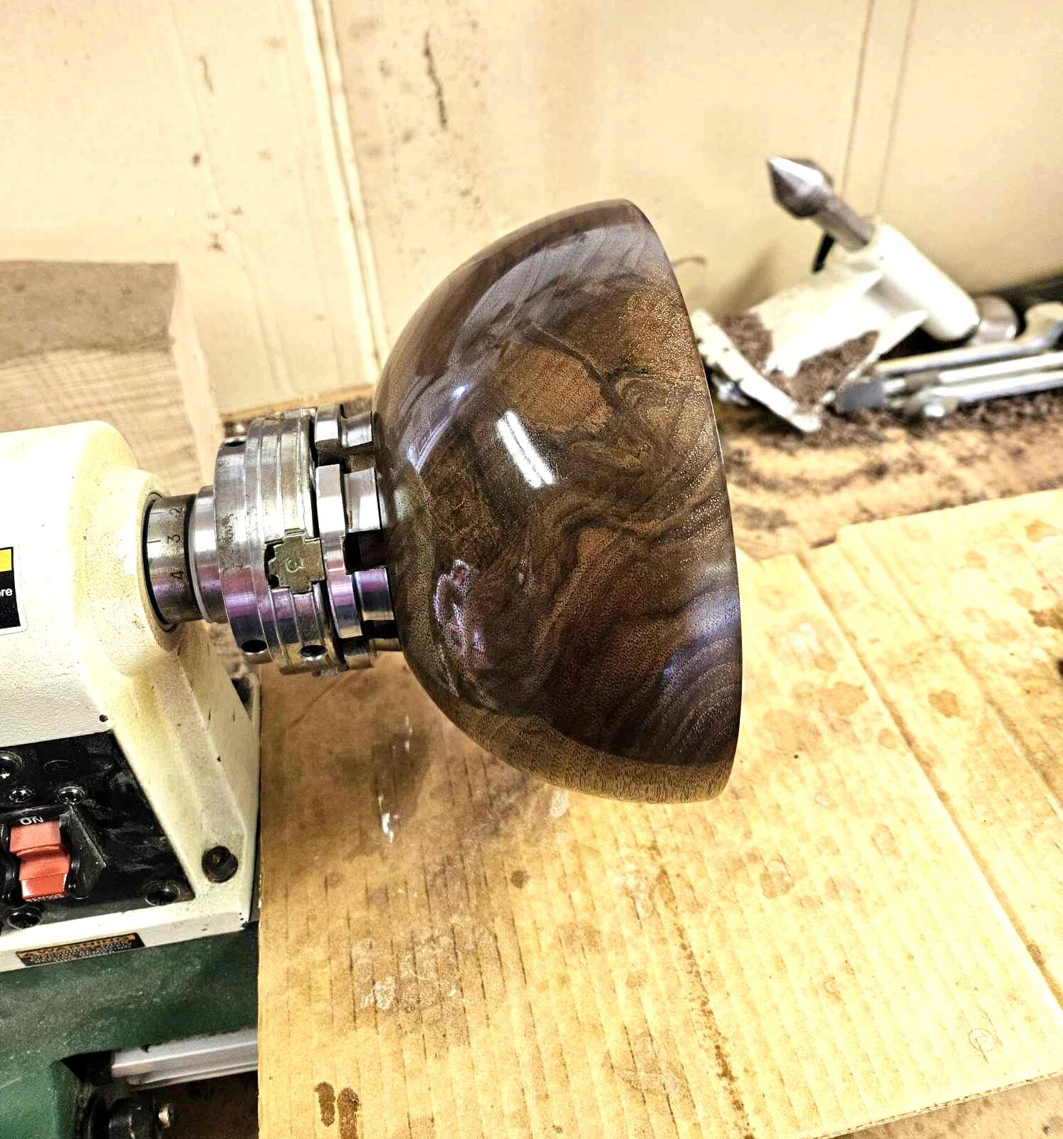Walnut 3f.jpg