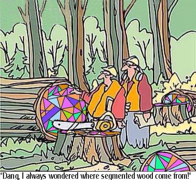 Where segmented wood comes from