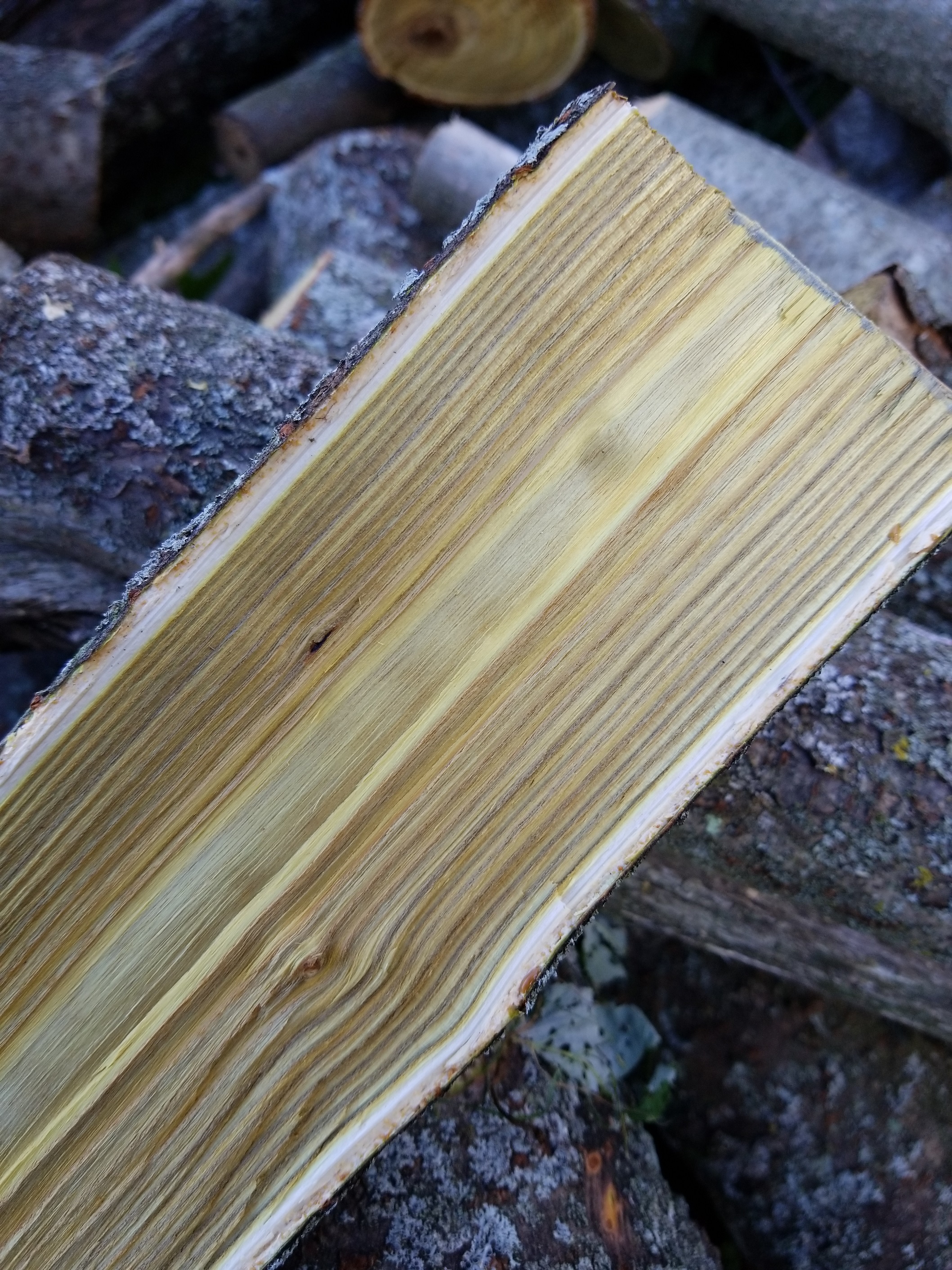 Wood ID