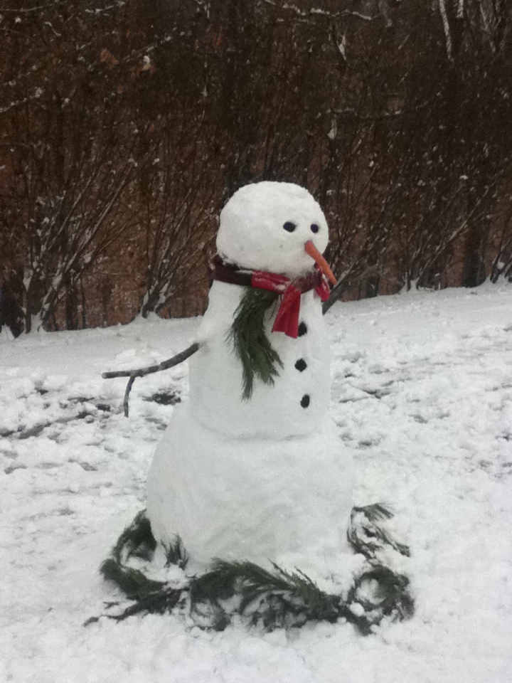 1_Snowman_2011.JPG