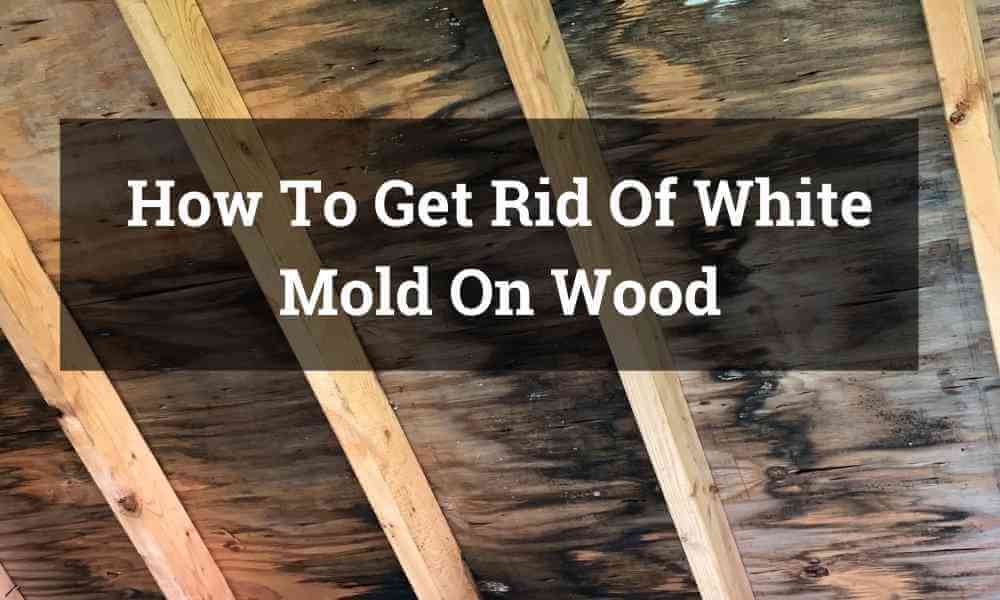 woodhunger.com