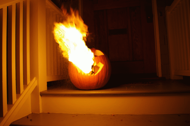 pumpkin-flamethrower-640x425.gif