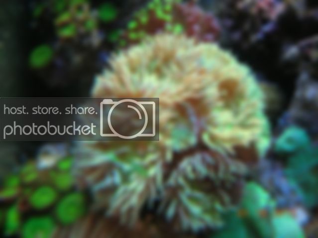 DSCN3199.jpg
