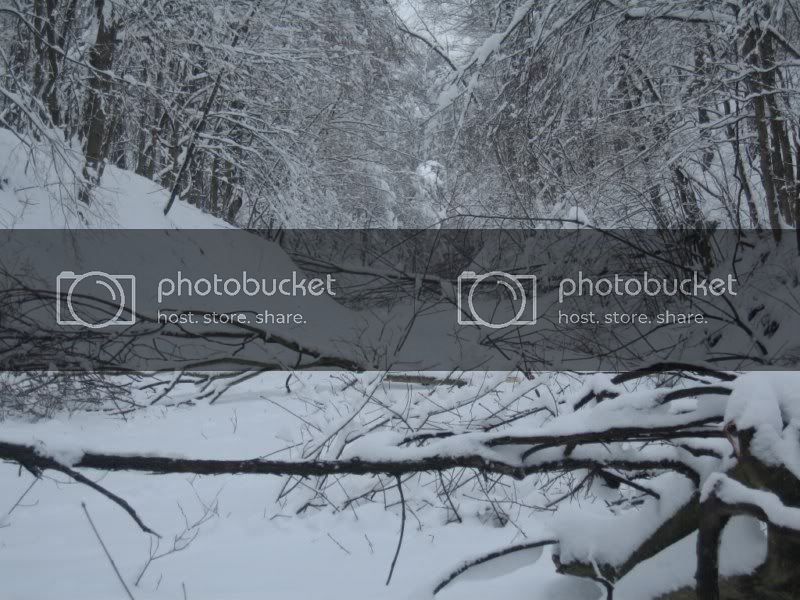 snowmageddon2010048800x600.jpg