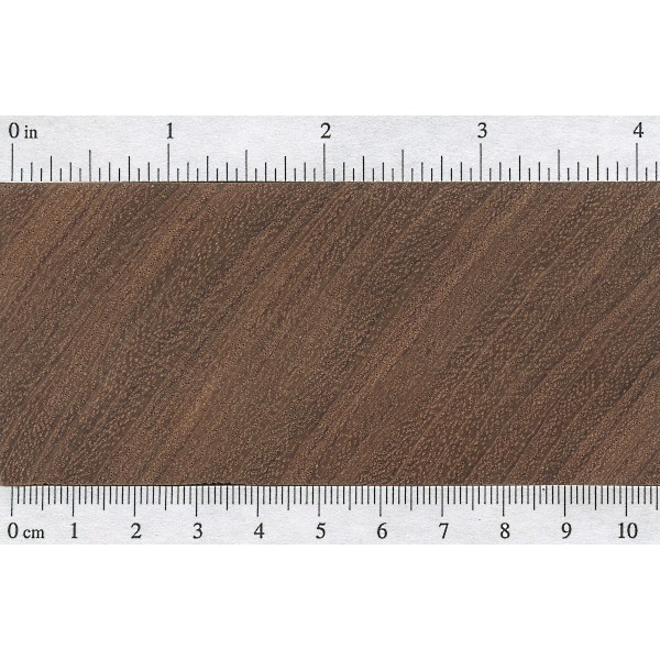 bubinga-endgrain.jpg