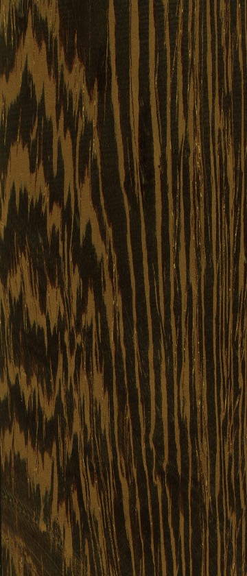 wenge.jpg