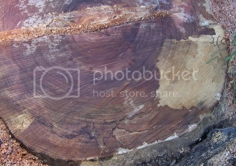 wood_007.jpg