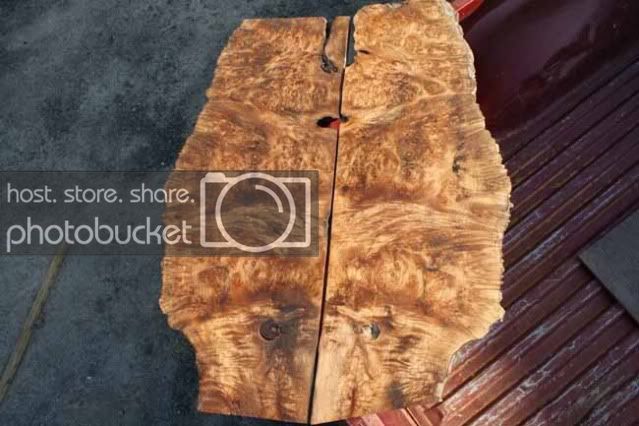 mapleslabbook1a.jpg