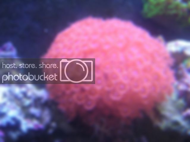 DSCN2907.jpg