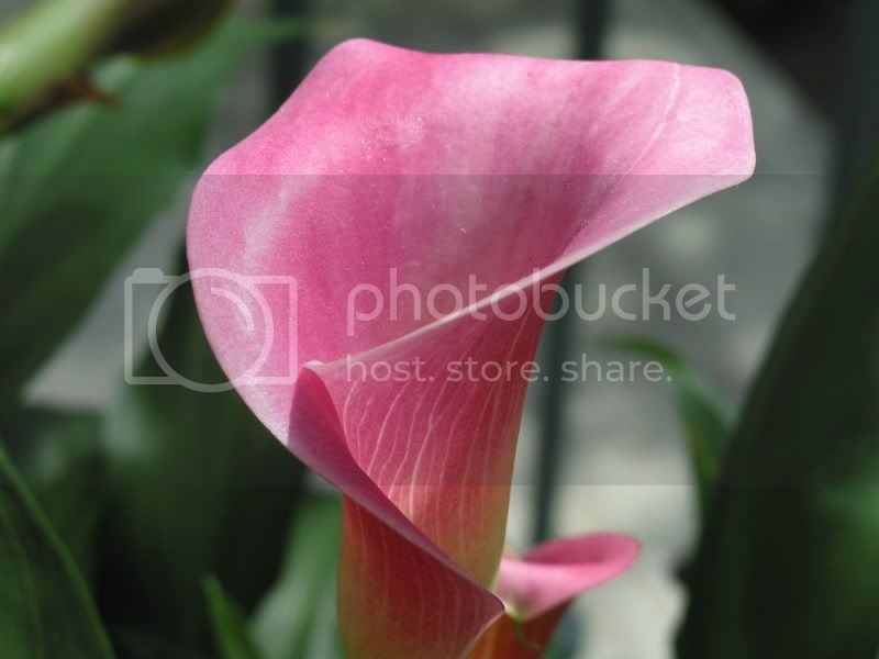 100_0044.jpg