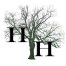 www.hearnehardwoods.com