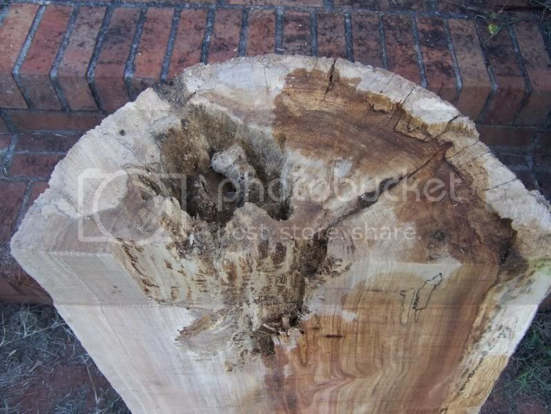 wood_005.jpg