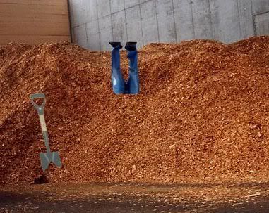 sawdust_1jpg.jpg