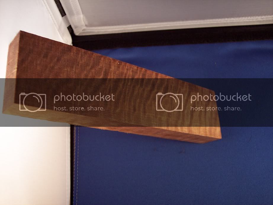 phototent013.jpg